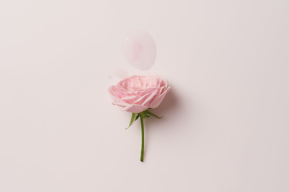 Falling Into The Rose Mist