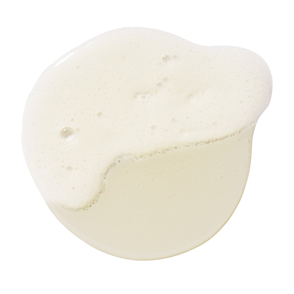 Shampoo Oily Scalp